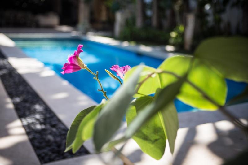Villa Alu Lima - image 22
