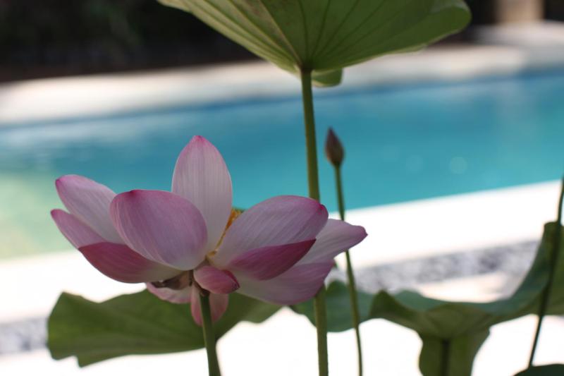 Villa Alu Lima - image 14