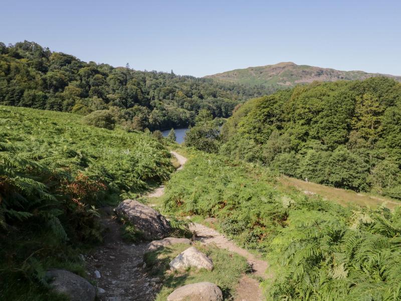 Hollytree Lodge - image 28