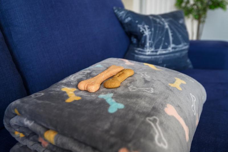 Superior Apartment (Dog Friendly)  image 3