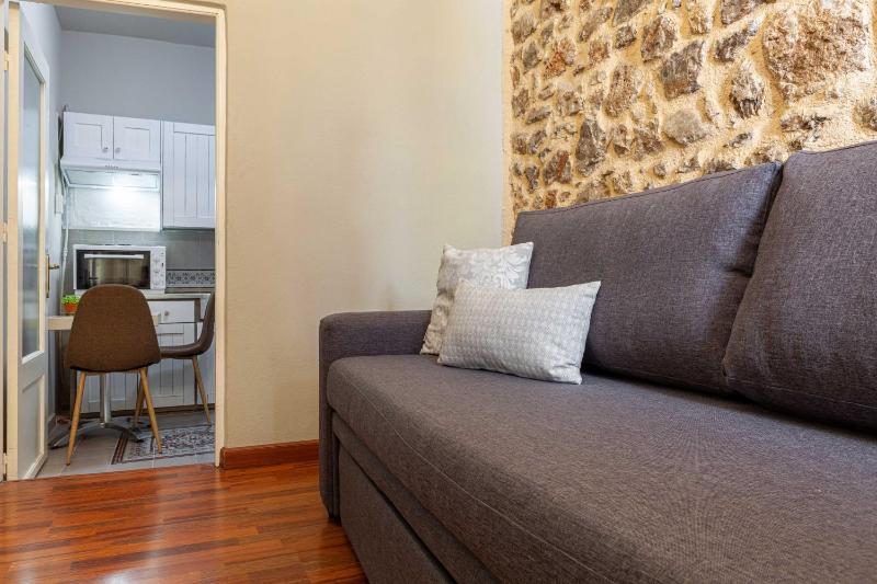 One-Bedroom Apartment image 2