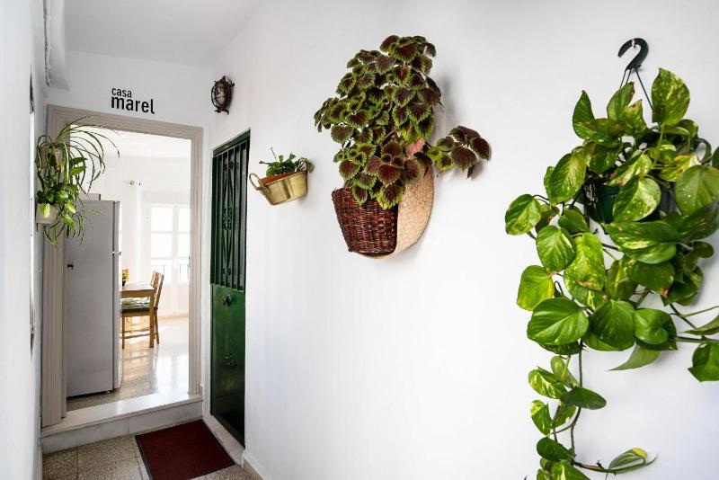Casa Marel Vejer - image 17
