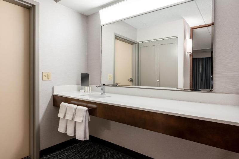 One-Bedroom King Suite with Sofa Bed image 2