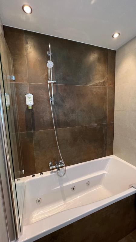 Premium Double Room image 3