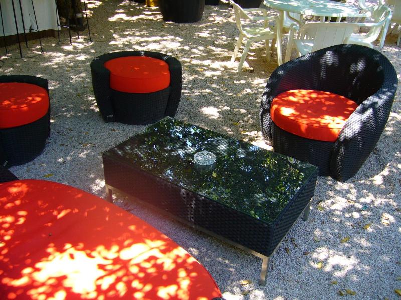 Hôtel Les Palmiers - image 32