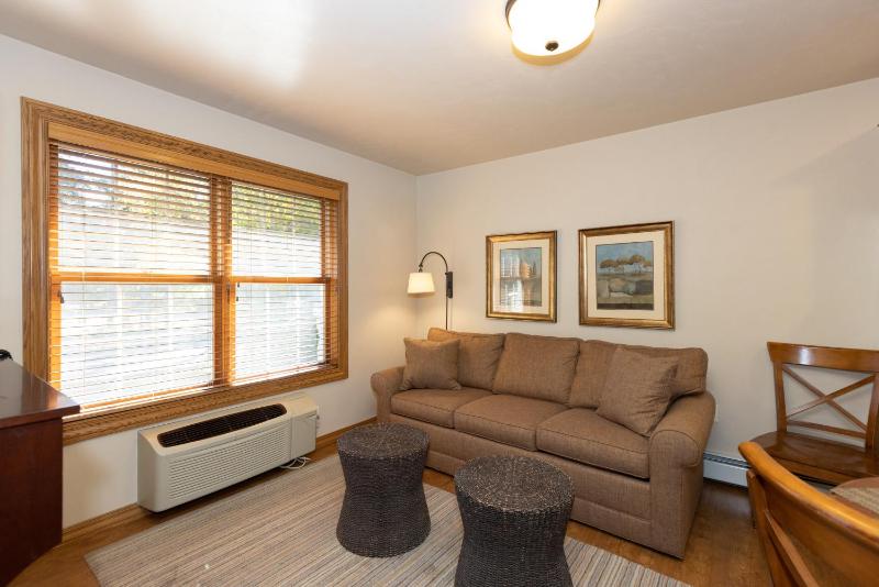 One-Bedroom Apartment image 3