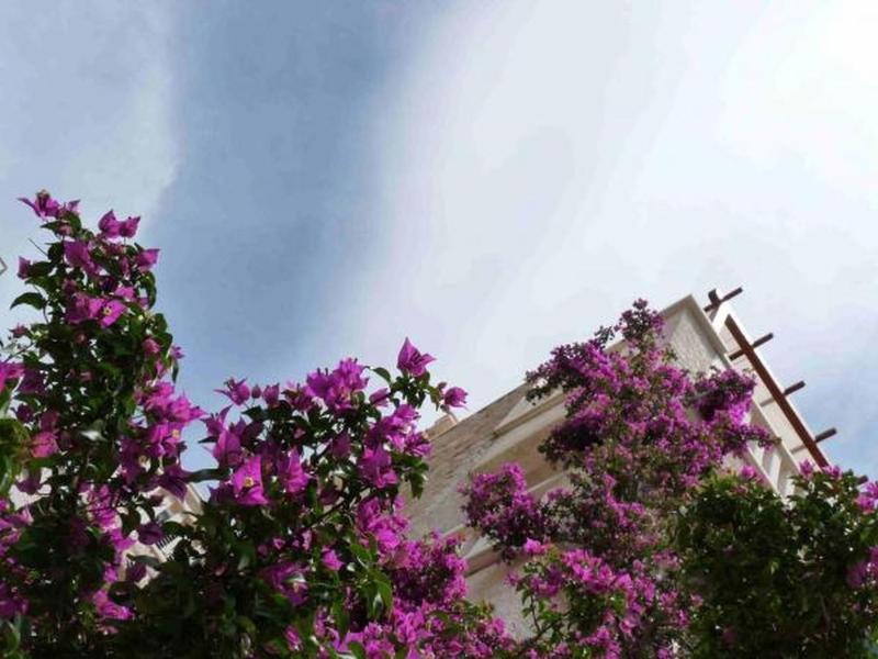 Apartment in Bol with sea view terrace air conditioning WiFi 5121-1 - image 20