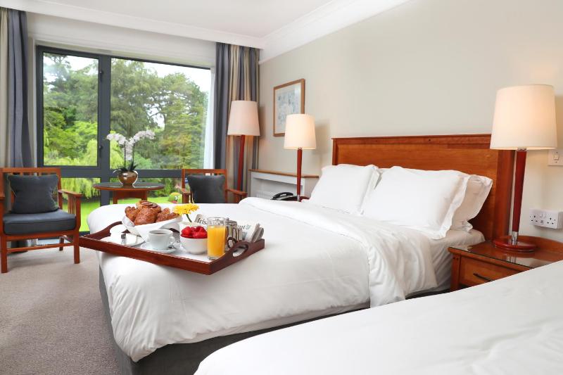 Single Room image 4