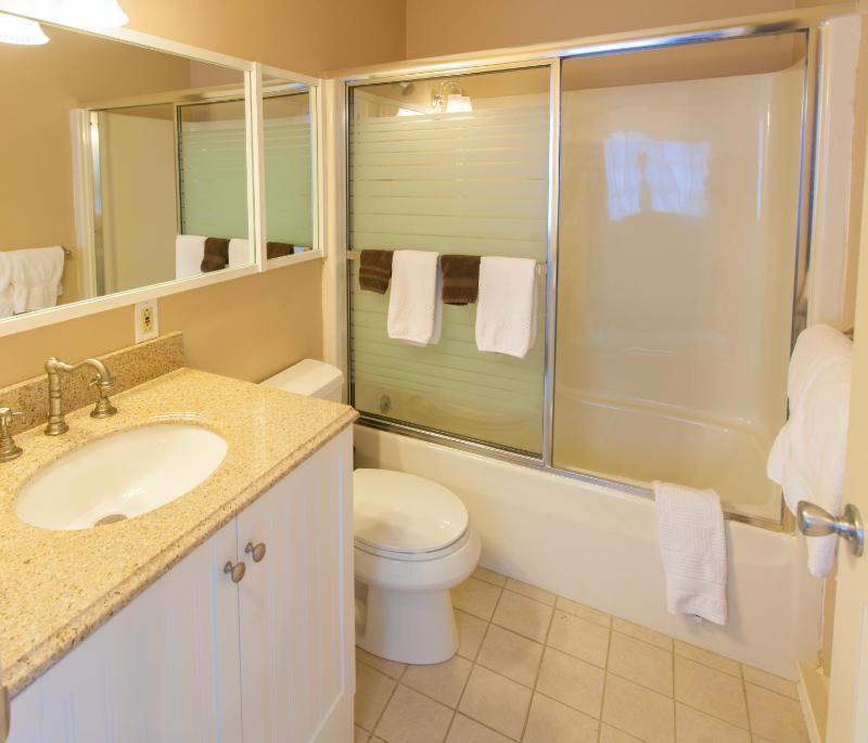 Deluxe Single Room image 4