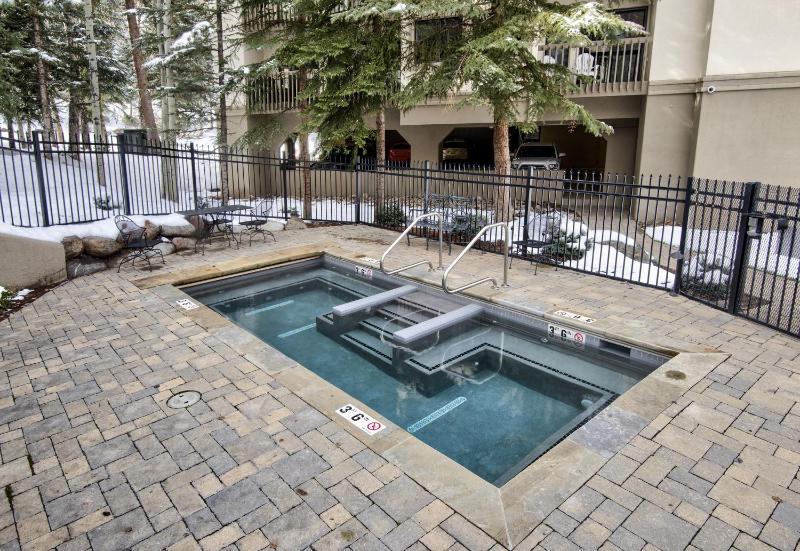 Townsend Place B202 Condo - image 28