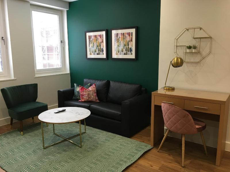 Deluxe One-Bedroom Apartment image 4