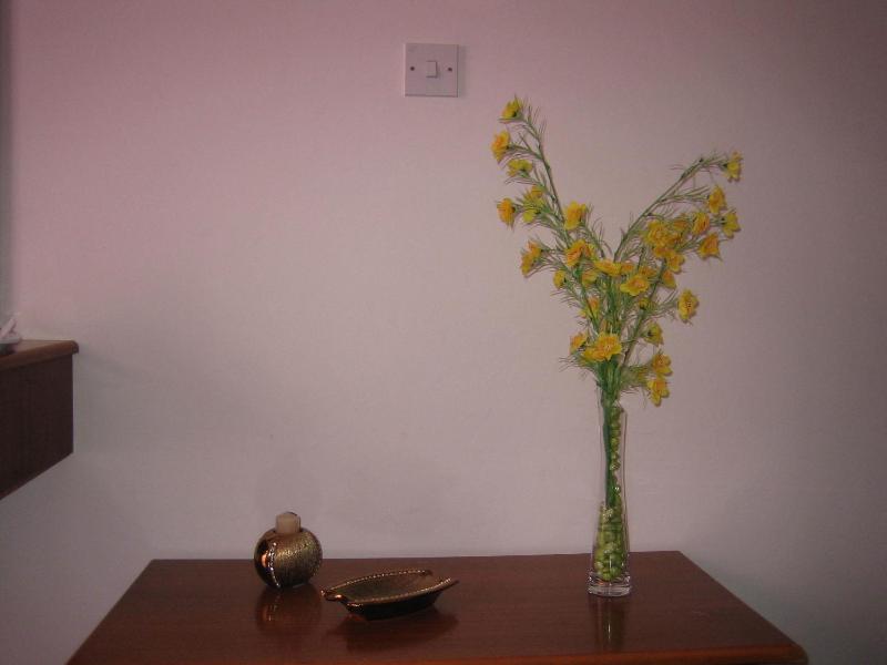 Standard Family Room image 2