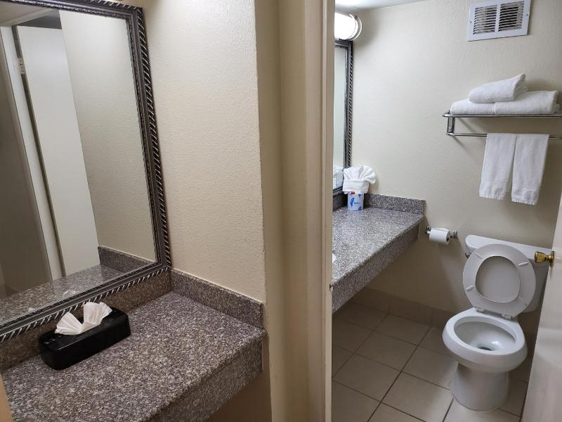 King Room with Roll-In Shower - Mobility Access/Non-Smoking image 3