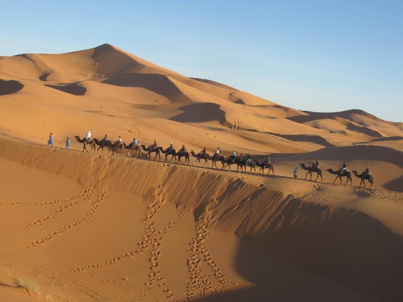 Sahara camel tours camp - image 24