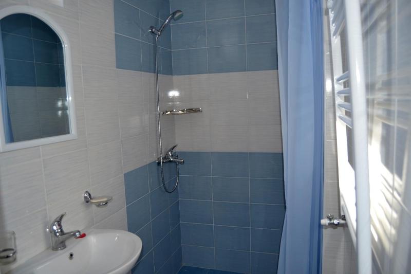 One-Bedroom Apartment image 2