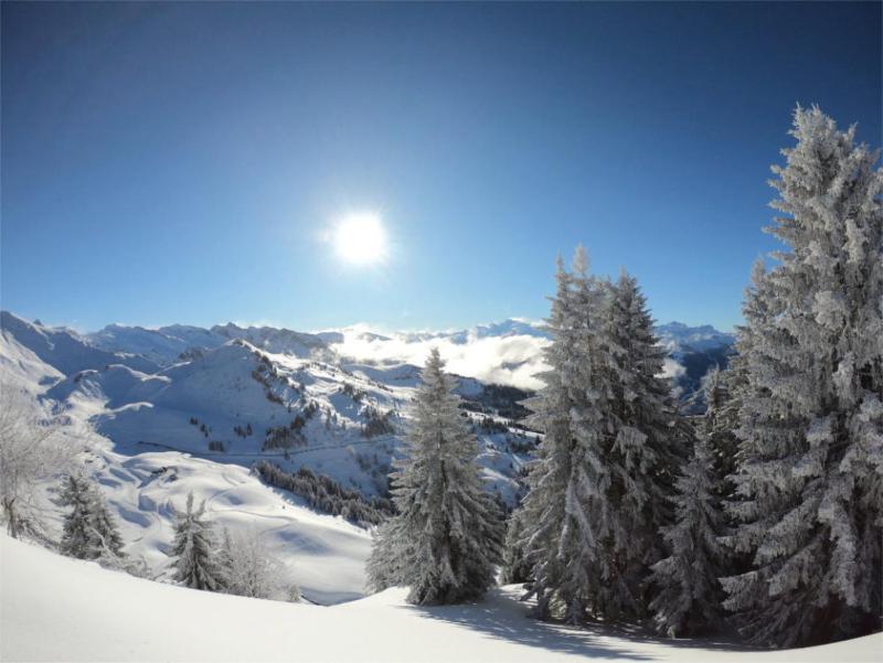 Chalet Aventure B&B Les Gets - image 43