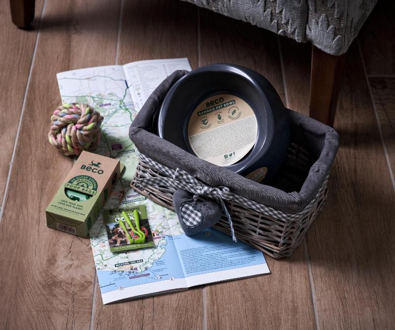 Deluxe King Studio image 2