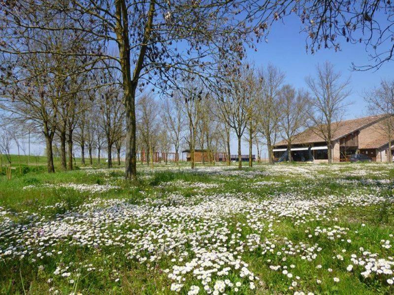 Three-Bedroom House image 3