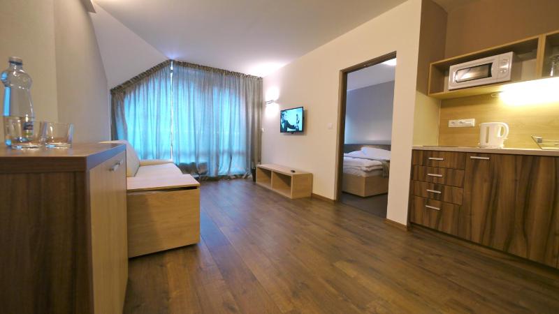 Deluxe One-Bedroom Apartment image 2