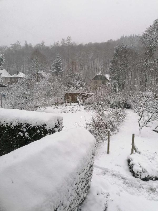 Ferienwohnung Natur pur Mühlental Wernigerode - image 12