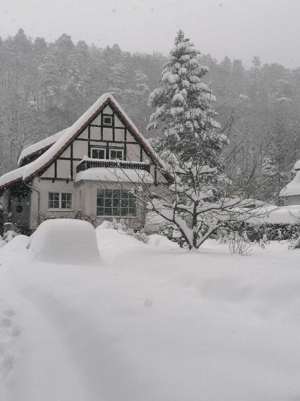 Ferienwohnung Natur pur Mühlental Wernigerode - image 14