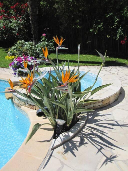 Studio dans villa de charme piscine proche plage - image 17