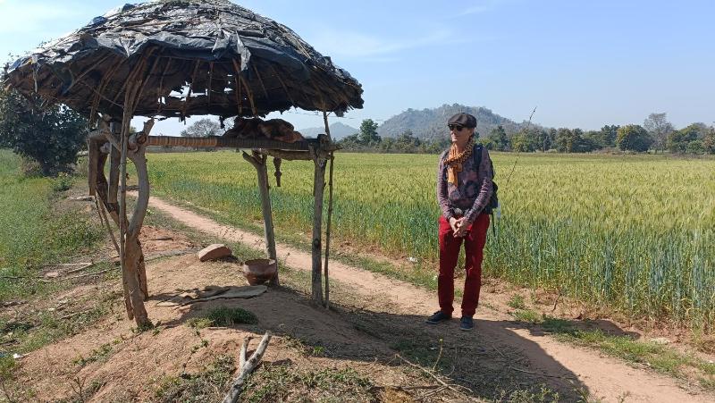 The Mountain View Home Stay - image 13