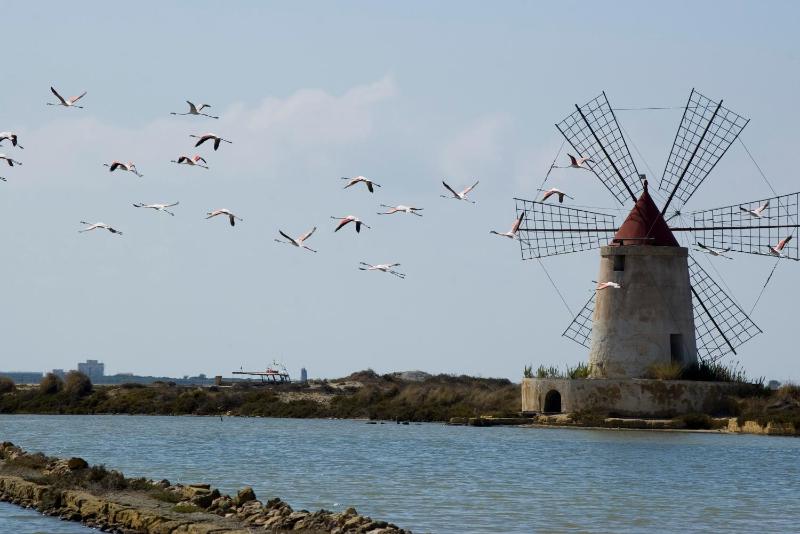 Al Vecchio Pontile Vista Mare - image 34