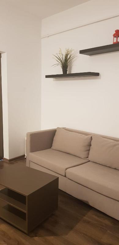 One-Bedroom Apartment image 4