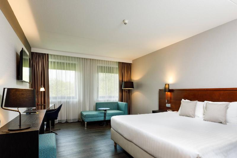 Deluxe King Room image 1