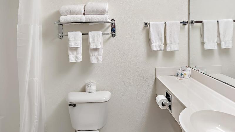 Deluxe King Suite image 3