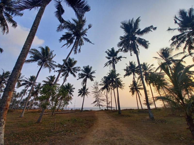 East West Beach Resorts - image 32