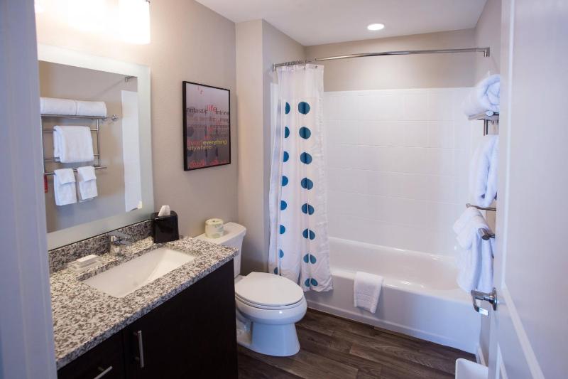 One-Bedroom Queen Suite image 3