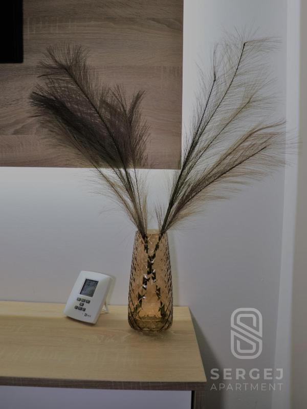 Apartment Sergej - image 11