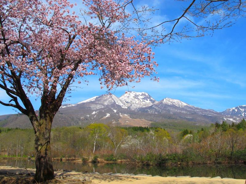 Akakura Hotel - image 25