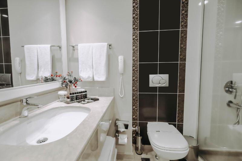 Deluxe Twin Room image 4