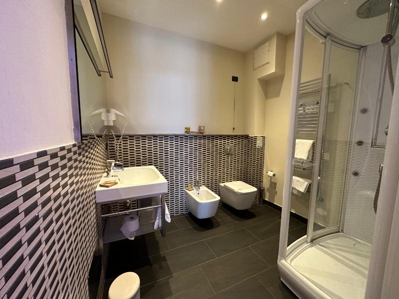 Deluxe Double or Twin Room image 4