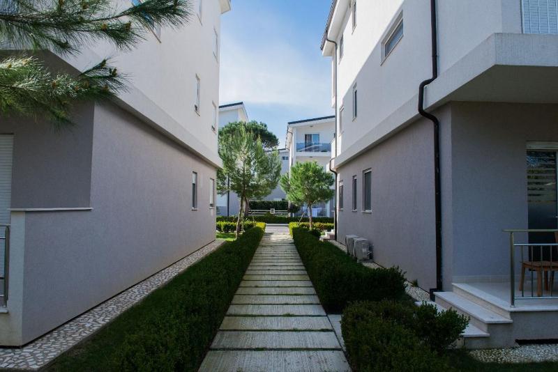 Primavera - image 16