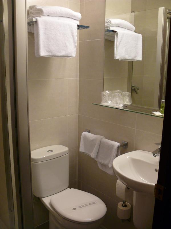 Single Room image 4