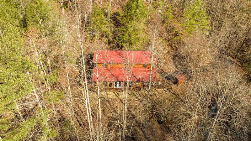 Southern Luxury Cabin with Fireplace and Grill - image 11