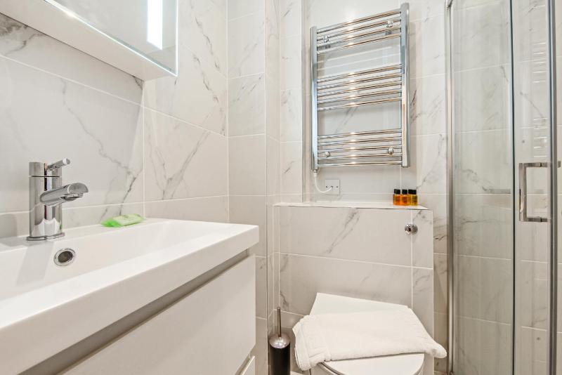 One-Bedroom Apartment image 3