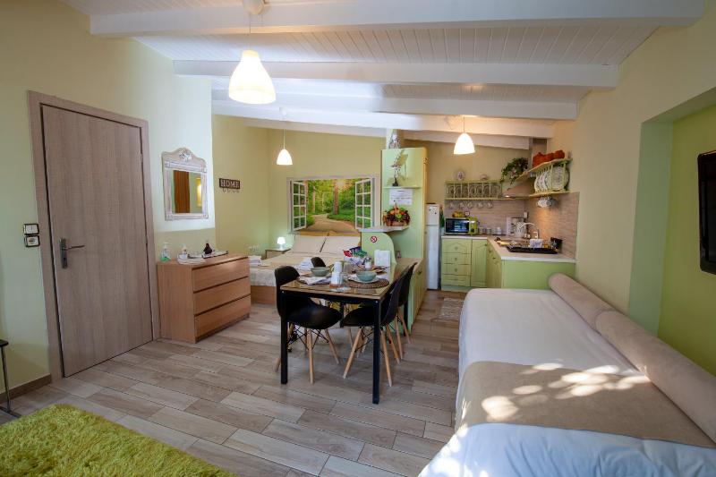 Studio Apartment image 4