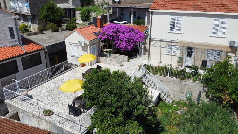 Apartment - Ground Floor image 3