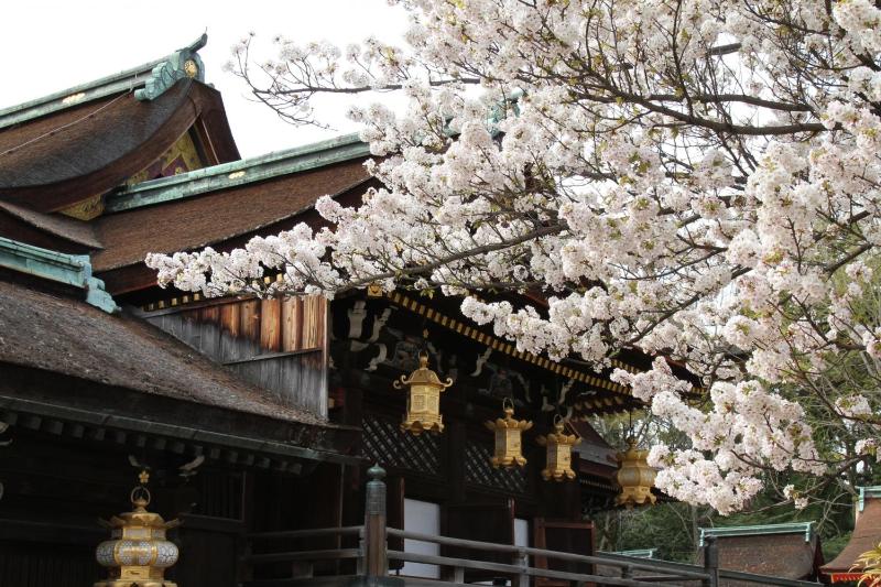Stay SAKURA Kyoto Nijo Rikyu - image 2