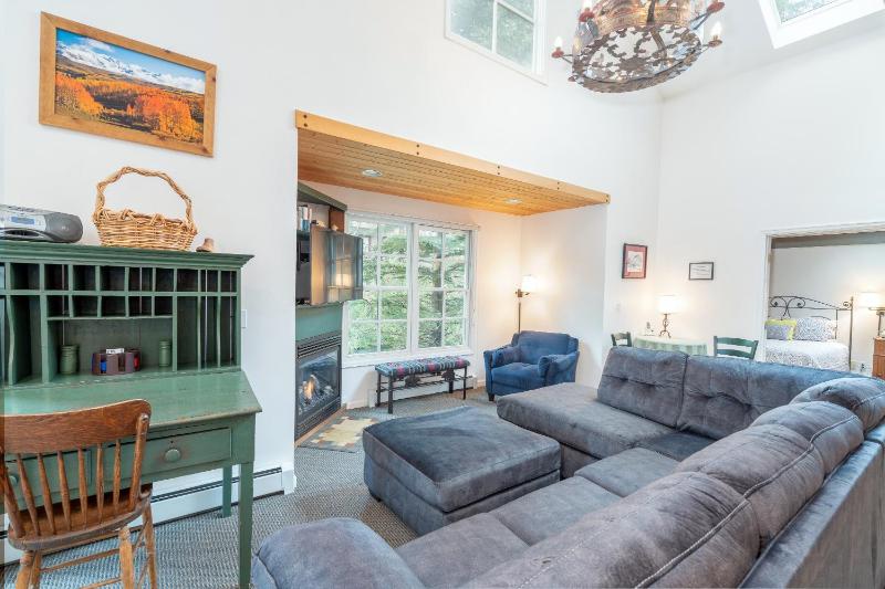 Mountainside Inn 101 by Alpine Lodging Telluride - image 16