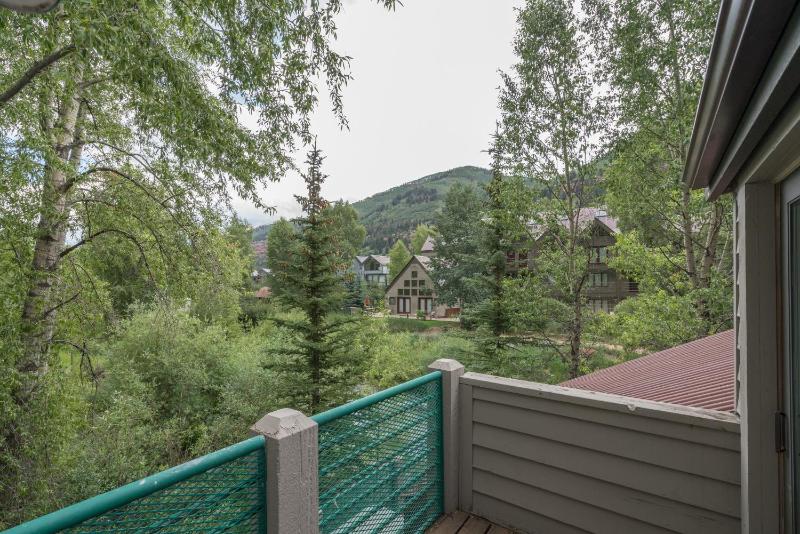 Mountainside Inn 101 by Alpine Lodging Telluride - image 10