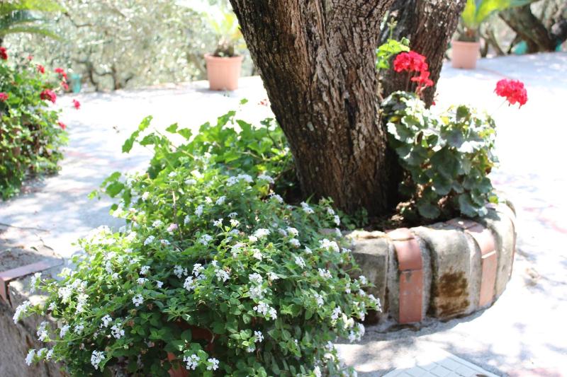 CASA JOSELLA - image 37