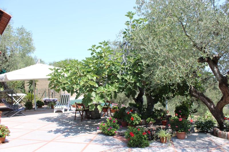 CASA JOSELLA - image 40