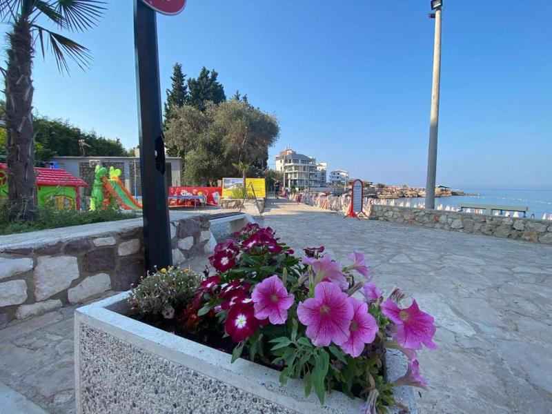 Superior Villa image 3