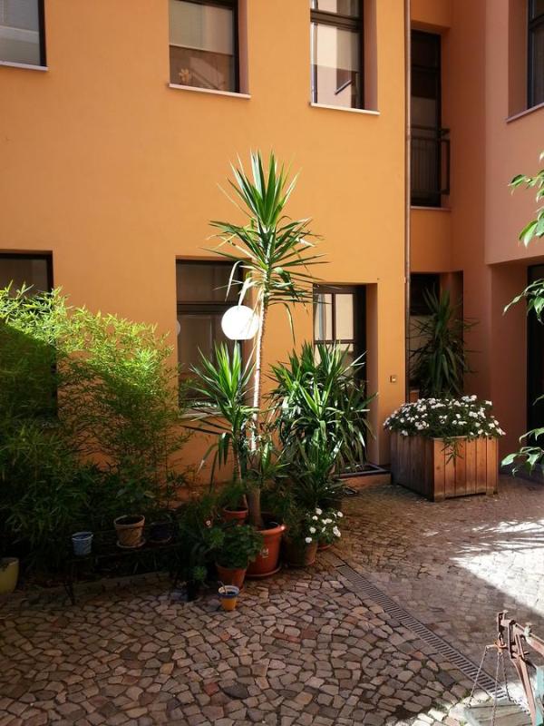 Studio with Terrace - Einsteinstraße 12  image 1